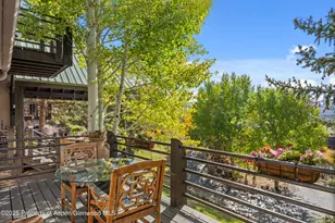 189 Light Hill Rd, Snowmass, CO 81654 - Photo 35