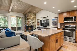 700 Ute Ave, Aspen, CO 81611 - Photo 15