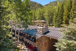700 Ute Ave, Aspen, CO 81611 - Photo 29