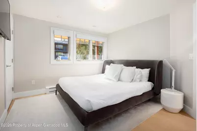 718 S Mill Street #7, Aspen, CO 81611 - Photo 9