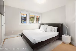 718 S Mill St, Aspen, CO 81611 - Photo 9