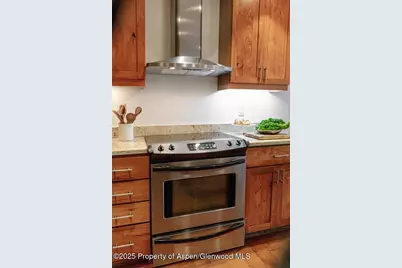 725 E Main Street #309, Aspen, CO 81611 - Photo 19