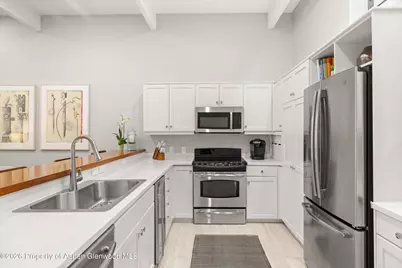 625 S West End Street #7, Aspen, CO 81611 - Photo 9