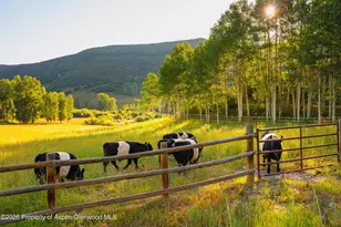 8500 & Tbd Snowmass Creek Rd, Snowmass, CO 81654 - Photo 13