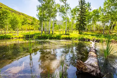 8500 & Tbd Snowmass Creek Road, Snowmass, CO 81654 - Photo 9