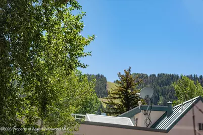 725 E Main Street #107, Aspen, CO 81611 - Photo 17