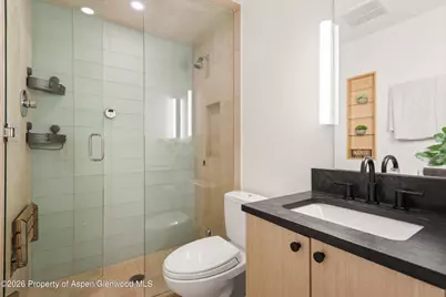 725 E Main Street #107, Aspen, CO 81611 - Photo 11