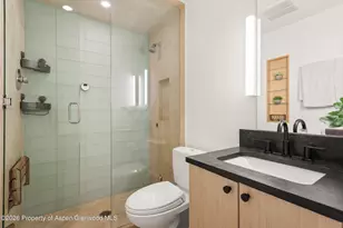 725 E Main St, Aspen, CO 81611 - Photo 11