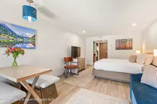 38750 Hwy 82, Aspen, CO 81611 - Photo 9