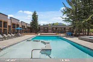 38750 Hwy 82, Aspen, CO 81611 - Photo 19