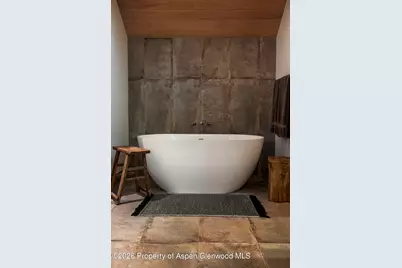 970 Powder Lane, Aspen, CO 81611 - Photo 23