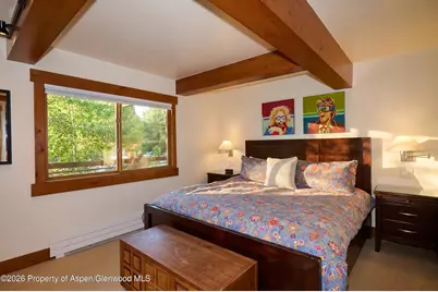 131 E Durant Avenue #410, Aspen, CO 81611 - Photo 9