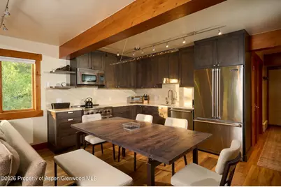 131 E Durant Avenue #410, Aspen, CO 81611 - Photo 3