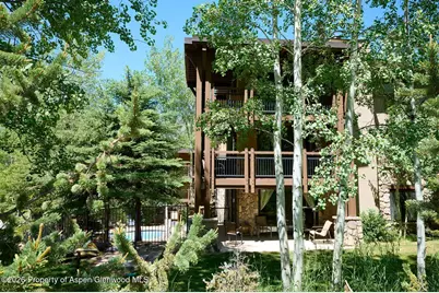 131 E Durant Avenue #410, Aspen, CO 81611 - Photo 5