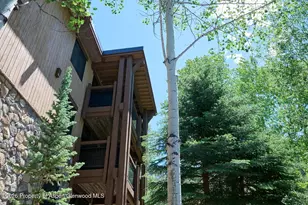 131 E Durant Ave, Aspen, CO 81611 - Photo 19