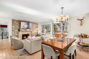 747 S Galena St, Aspen, CO 81611 - Photo 15