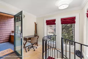 747 S Galena St, Aspen, CO 81611 - Photo 21