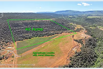 5402 Ke Road, Collbran, CO 81624 - Photo 11
