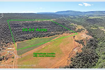5402 Ke Road, Collbran, CO 81624 - Photo 7