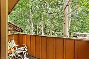 800 Ridge Rd, Snowmass Village, CO 81615 - Photo 23