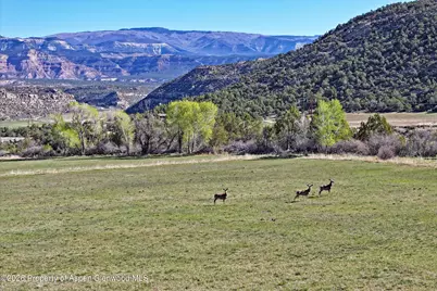 12482 54 7/10 Road #1 Parcel Only, Molina, CO 81646 - Photo 7