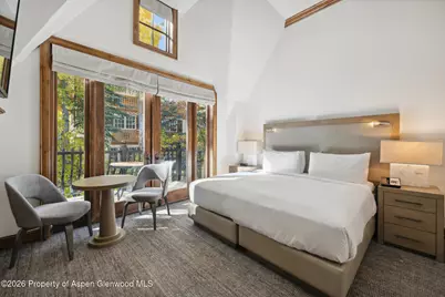 415 E Dean St, Unit 42, Wks 26 & 27, Aspen, CO 81611 - Photo 19