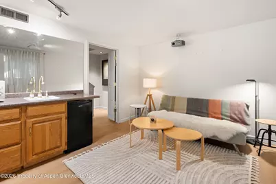 100 N Eigth Street #24, Aspen, CO 81611 - Photo 27