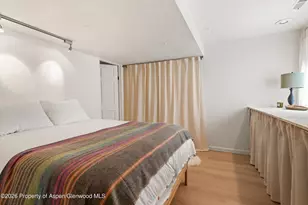 100 N Eigth St, Aspen, CO 81611 - Photo 23