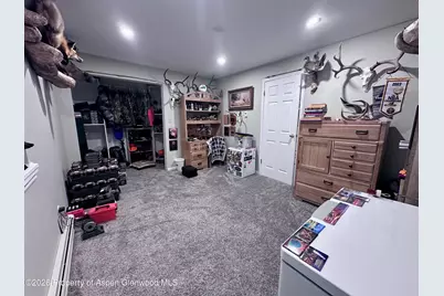 15 Harmony Way, Silt, CO 81652 - Photo 27