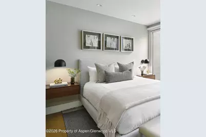 314 N Riverside Avenue #2, Aspen, CO 81611 - Photo 23