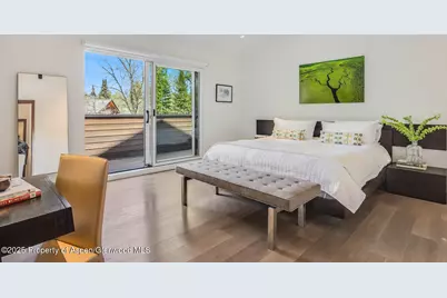 100 Park Avenue, Aspen, CO 81611 - Photo 15