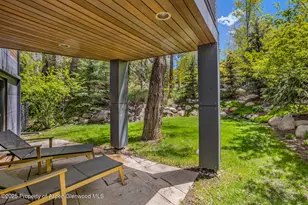 100 Park Ave, Aspen, CO 81611 - Photo 39