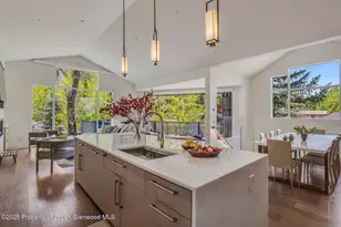 100 Park Ave, Aspen, CO 81611 - Photo 11
