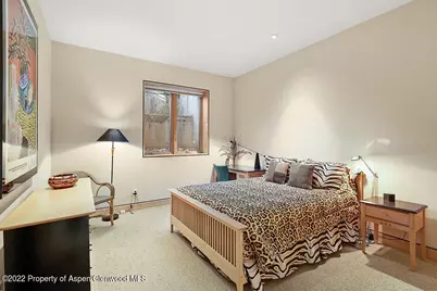 530 W Francis Street, Aspen, CO 81611 - Photo 29