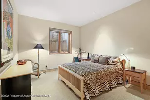 530 W Francis St, Aspen, CO 81611 - Photo 29