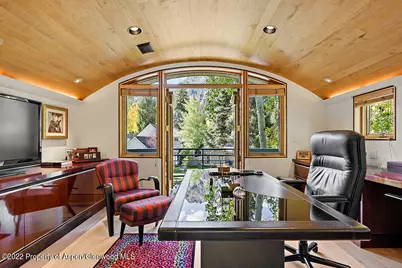 530 W Francis Street, Aspen, CO 81611 - Photo 23