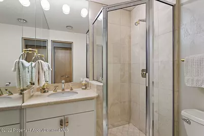 530 W Francis Street, Aspen, CO 81611 - Photo 37