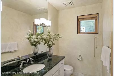 530 W Francis Street, Aspen, CO 81611 - Photo 17
