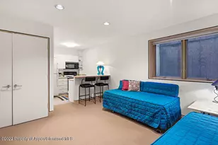 530 W Francis St, Aspen, CO 81611 - Photo 35