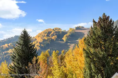 530 W Francis Street, Aspen, CO 81611 - Photo 7
