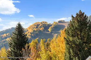 530 W Francis St, Aspen, CO 81611 - Photo 7