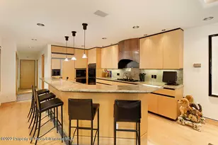 530 W Francis St, Aspen, CO 81611 - Photo 15