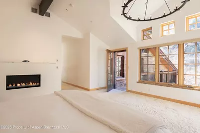 6770 Castle Creek Road, Aspen, CO 81611 - Photo 23