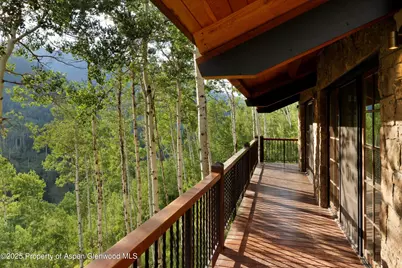 6770 Castle Creek Road, Aspen, CO 81611 - Photo 47
