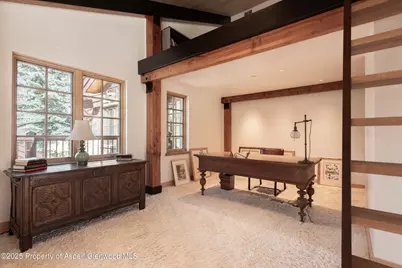 6770 Castle Creek Road, Aspen, CO 81611 - Photo 29