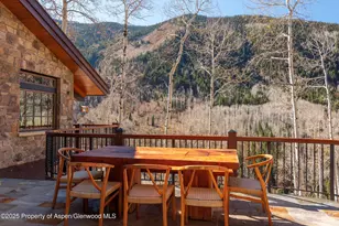 6770 Castle Creek Rd, Aspen, CO 81611 - Photo 49