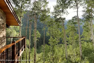 6770 Castle Creek Rd, Aspen, CO 81611 - Photo 45