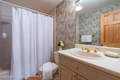 679 Brush Creek & Tbd Medicine Bow Road, Aspen, CO 81611 - Photo 43