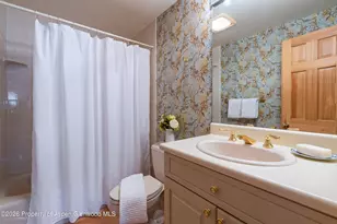 679 Brush Creek & Tbd Medicine Bow Rd, Aspen, CO 81611 - Photo 43