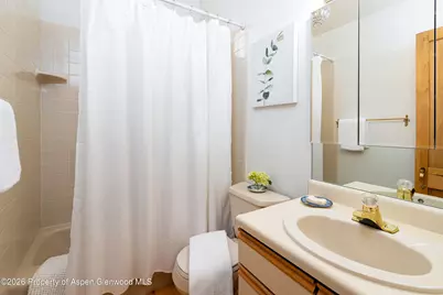 679 Brush Creek & Tbd Medicine Bow Road, Aspen, CO 81611 - Photo 41